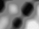 Charcoal Blobs.webp