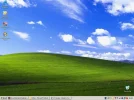 background.webp