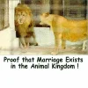 lionmarriage.webp