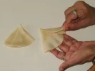 Samosa 1.webp