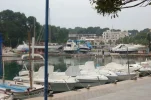 Porto Cristo harbour.webp