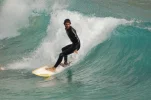 Surfer 2.webp