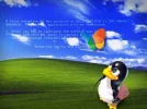 normal_Try_Linux_Open_Source_Wallpaper_Windows_Xp_Fatal_System_Error.webp