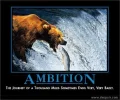 ambition.webp